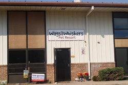 Wags and Whiskers Pet Resort pet care in Flagstaff, AZ